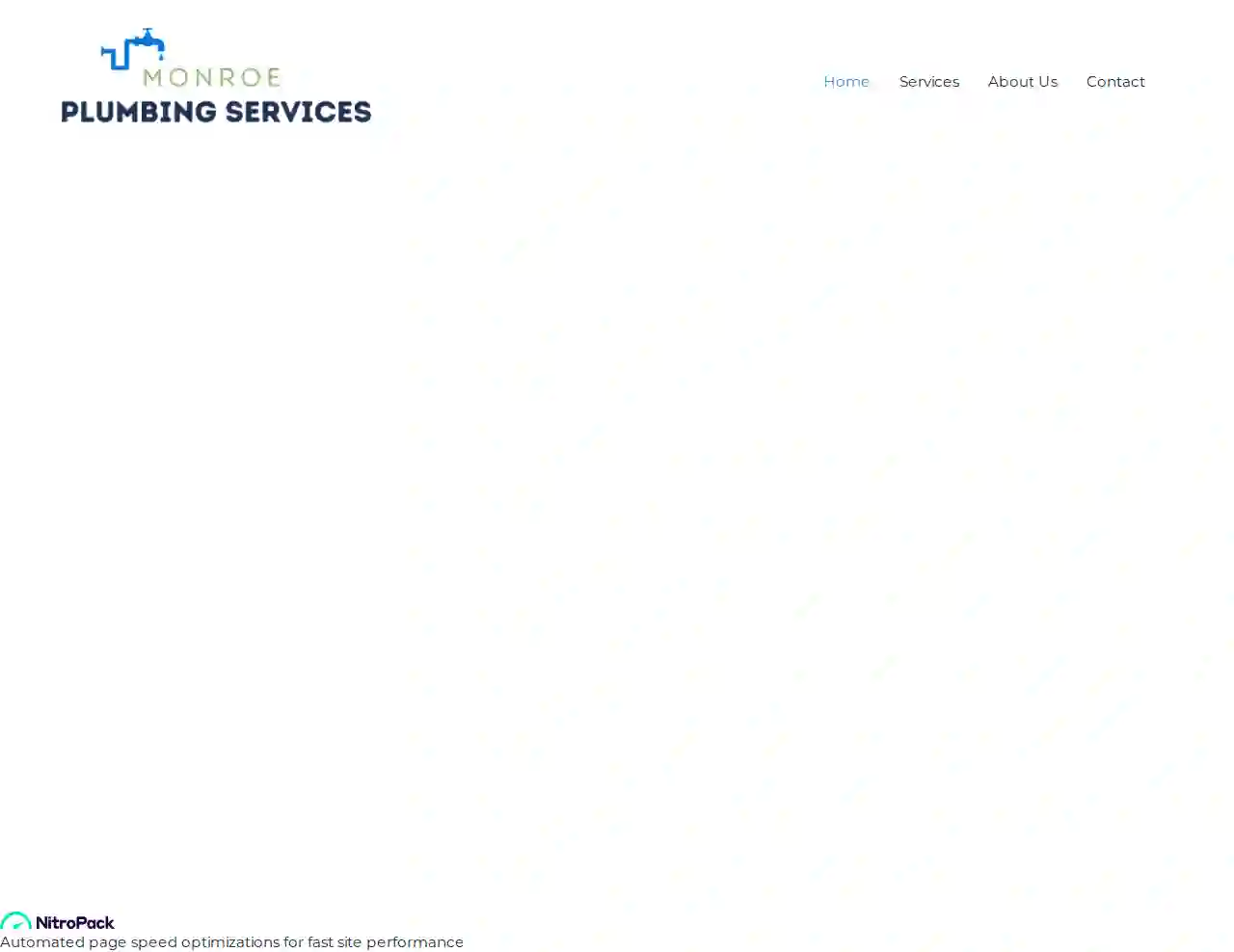 Monroe Plumbing Services