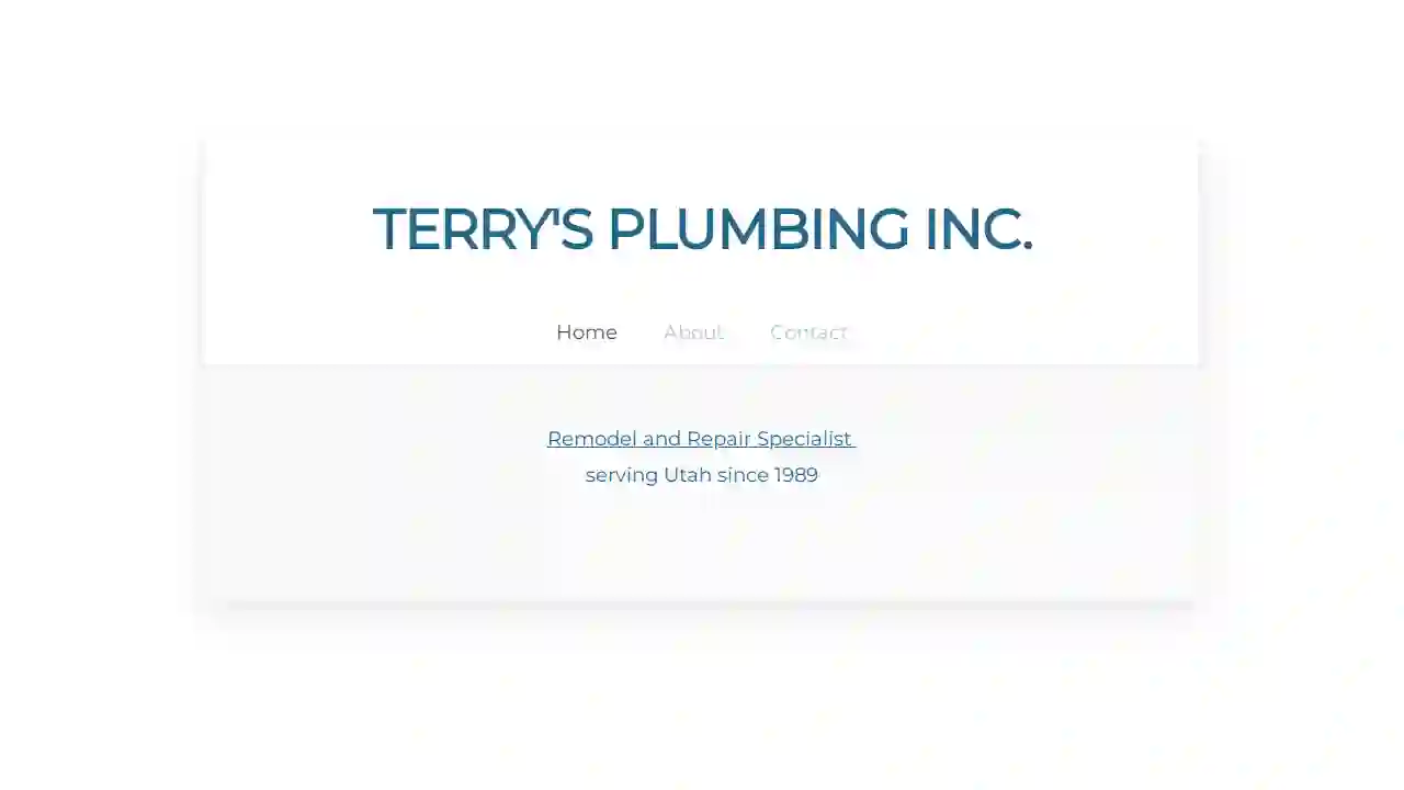 Terry's Plumbing Inc